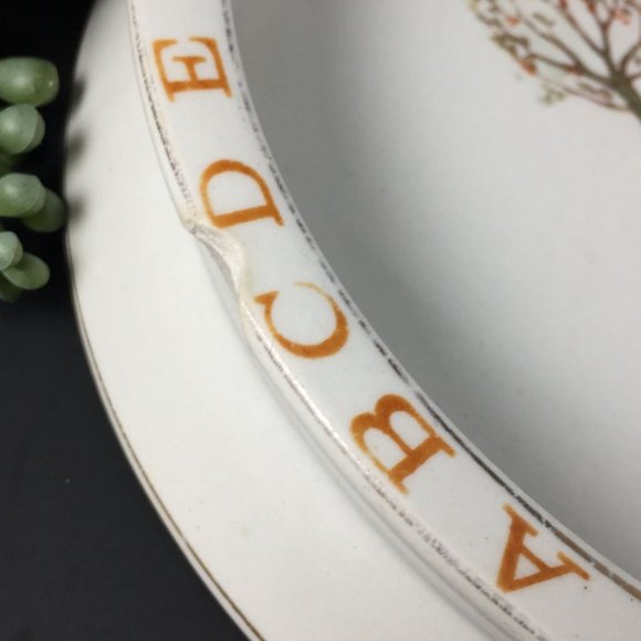 Heavy Antique English Porcelain Mother Goose Baby Dish Alphabet Little Miss Muff - Picture 3 of 7